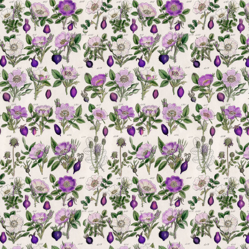 Holtz Palette Purple Botanical