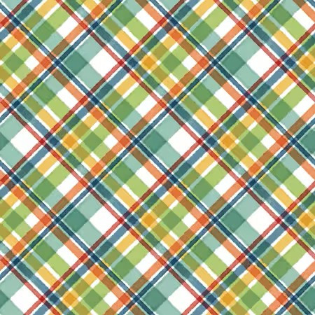 Cat Hair Don't Care Multi Plaid