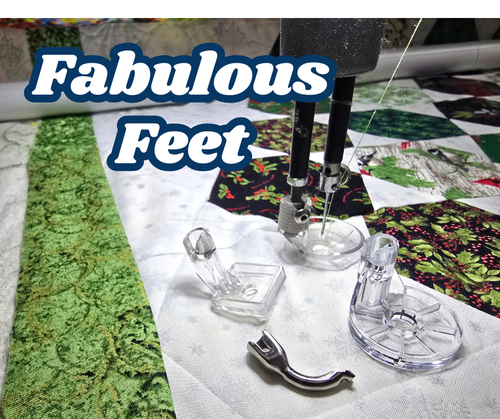 Fabulous Feet for Fun Quilting - April 10th -Afternoon Session