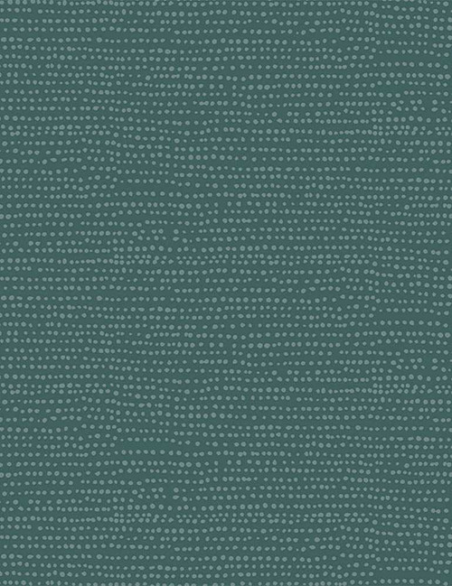 Stella Moonscape Spruce