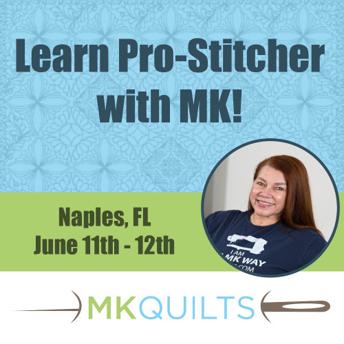 Pro-Stitcher Class - Naples FL - June 10 & 11
