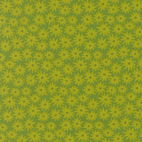 Scenery Sedum Limeade