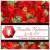 Poinsettia Radiance Stamp