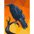Edgar the Raven Panel