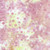 Island Batiks Small Dots Pink