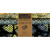 Tonga Treats Batik 10" Squares Honeycomb