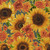 Robert Kaufman Autumn Fields Flowers Sunflower