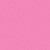 Stardust Begonia Pink