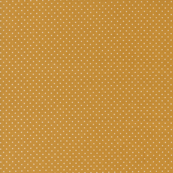 Sun Drenched Pindot Golden Sun Drenched Pindot Golden