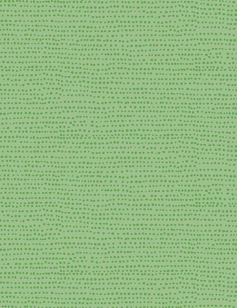 Stella Moonscape Kiwi