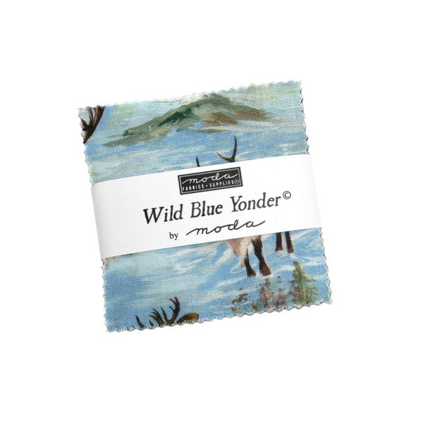 Wild Blue Wonder 2 1/2 Candy
