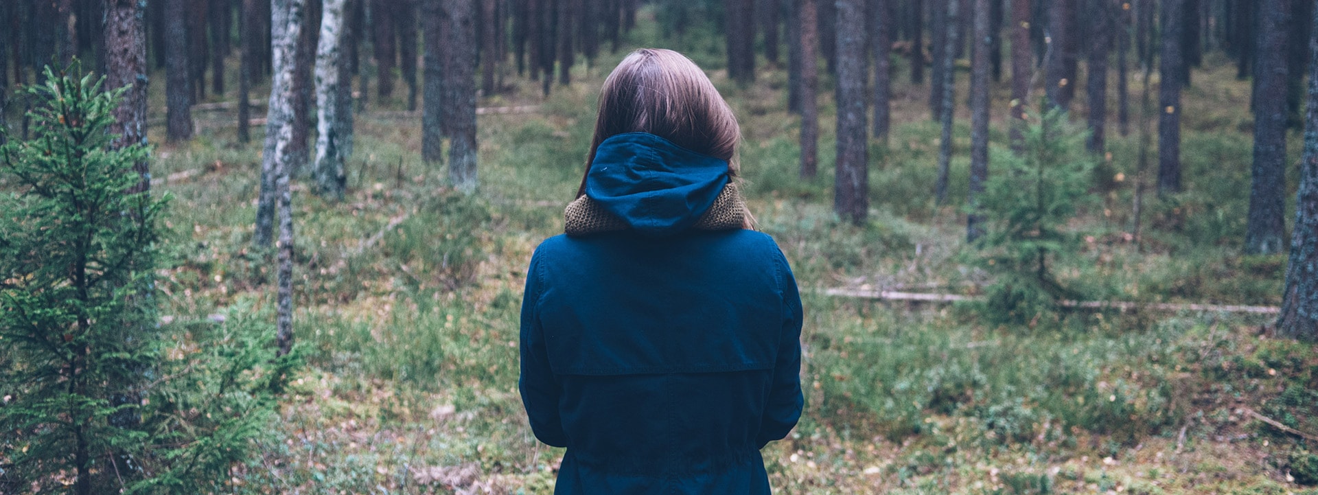 Dig in to a fresh new recipe