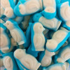 Rainbow Little Blue Penguins loose