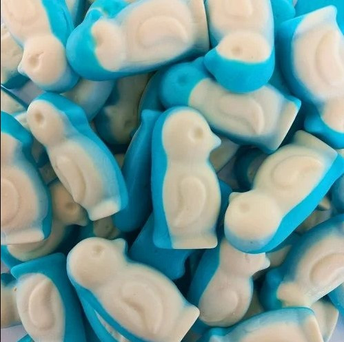 Rainbow Little Blue Penguins loose