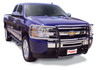 3000 Series StepGuard - Center Grille + Brush Guards 3163MC