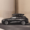 Vector M Gloss Black 613201