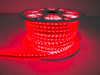 RS-5050-164FT-R - 164ft 110V Atmosphere 5050 LED Strip Lighting Reel (Red)