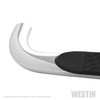Platinum 4 Oval Nerf Step Bars Stainless Steel 21-4080