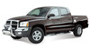 Signature 3 Nerf Step Bars Chrome 25-2800