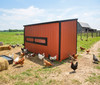 Rear view of Leonard 6x12 Lean-To Chicken Coop showing nesting box doors and durable painted SmartSiding construction. Includes solar-powered automatic chicken door & walk-in door.