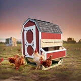 Chicken Coops