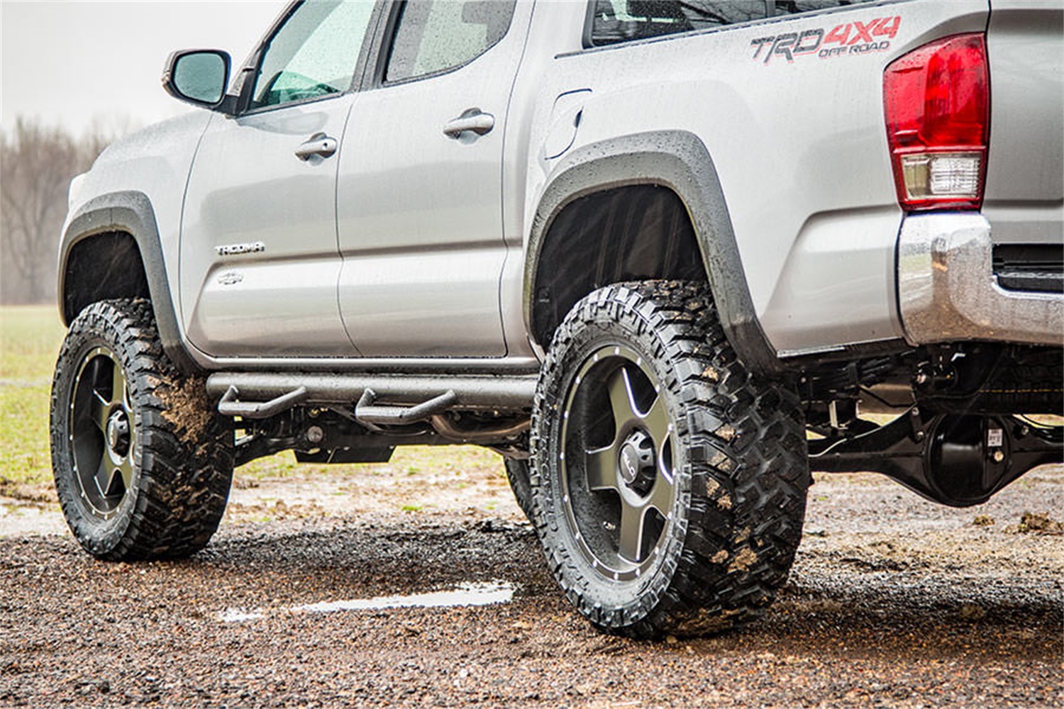 Wheel To Wheel Nerf Steps (Double Cab Short Bed Models) RCT0580CC
