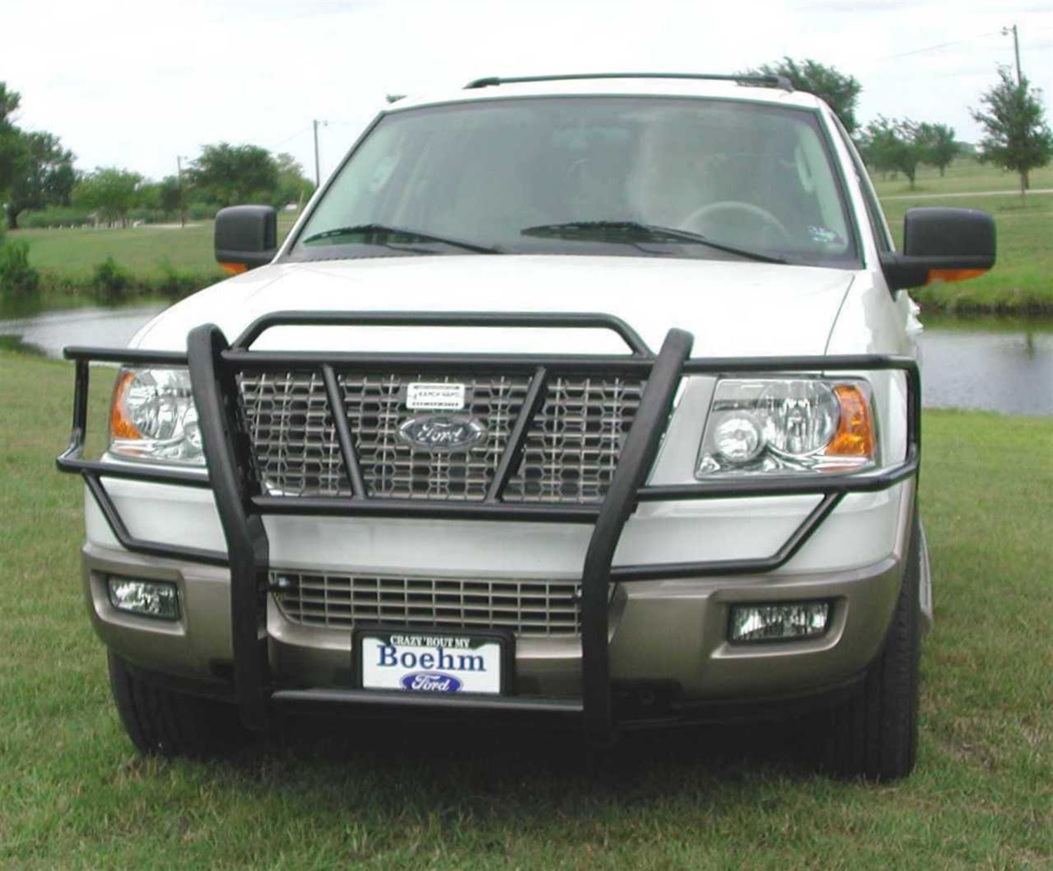 Grille Guard GGF03HBL1