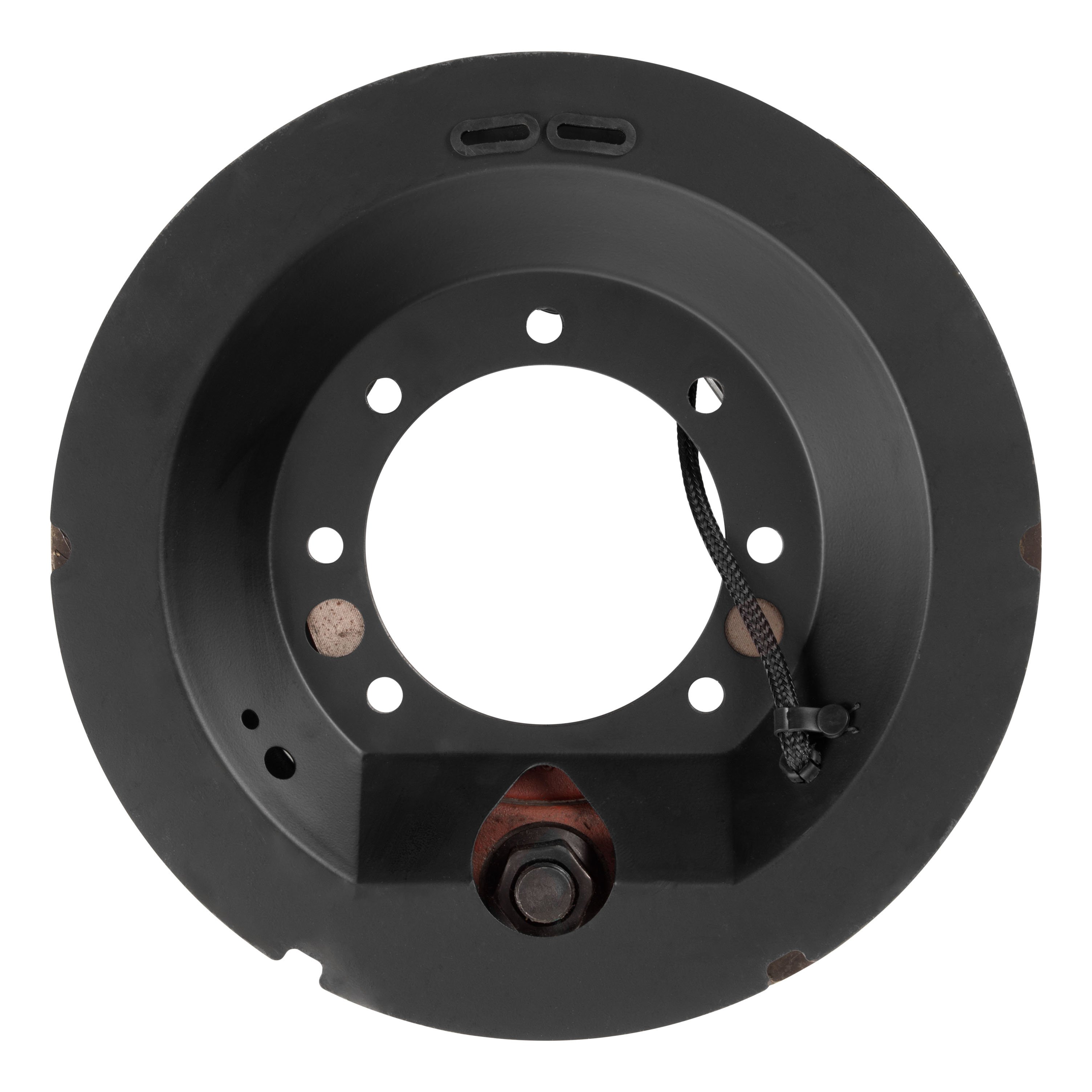 Lippert Electric Brake Assembly 2022004549