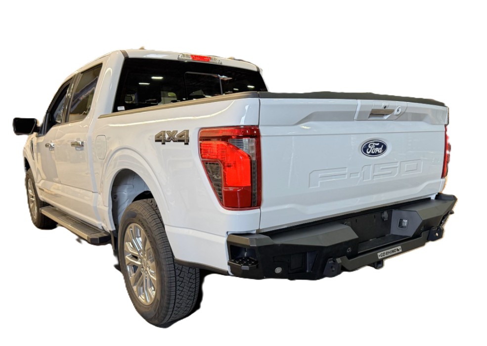 BR20.5 Rear BR Bumper for Ford F-150 28398T