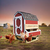 Chicken Coops
