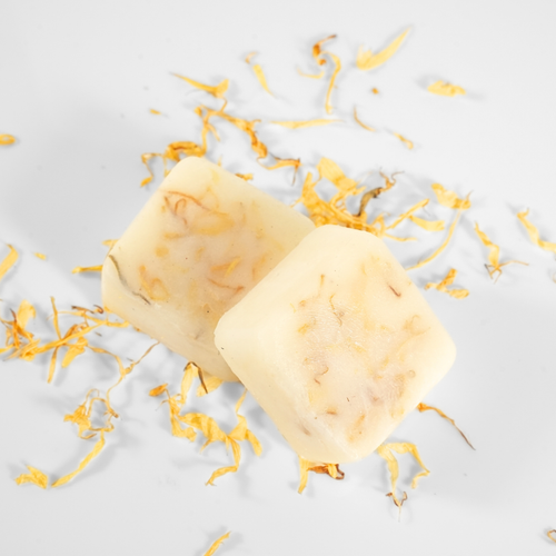 Wildbloom Bath Melts