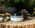 Origin Silk Soufflé