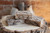 Coffee & Cream Bar Soap