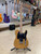 Fender Player Series Telecaster - Used
