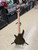 Ibanez Mikro Bass Walnut - Used
