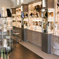 Retailer Spotlight: Bravadas - Kansas City