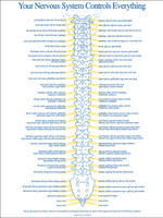 Chart Of Effects Of Vertebral Subluxations