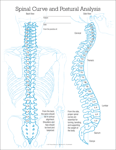 Choose left- or right-facing (shown) to match your X-ray technique.