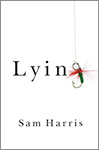 Lying book cover
