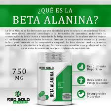 Red Gold Beta Alanina 60 Cápsulas