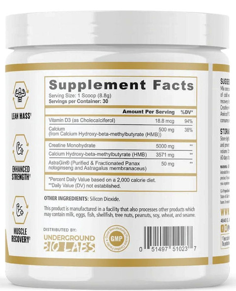 Panda Creatine HMB 30 Porciones sin Sabor