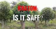 Is Kratom Safe? - Let's Look at The Facts