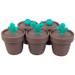31mm Baby Cactus Silicone Container 5ml - Pack of 5 (MSRP $3.00ea)