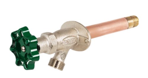 WALL HYDRANT C-134T-10