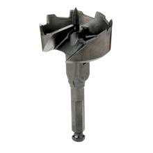 SELF FEED WOOD BIT 1