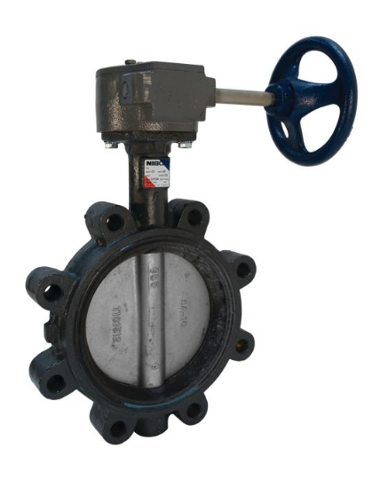 LD-3010-5 250# BUTTERFLY VALVE 3