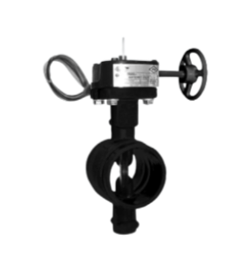 FIRE BUTTERFLY VALVE GROOVED 2