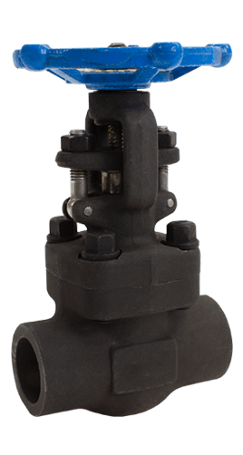GATE VALVE 800# CS SW 2