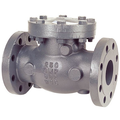 F-968-B 250# FLGD IB CHECK VALVE 3