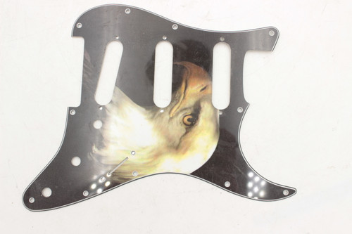 Bald Eagle Strat Style SSS 11 - hole